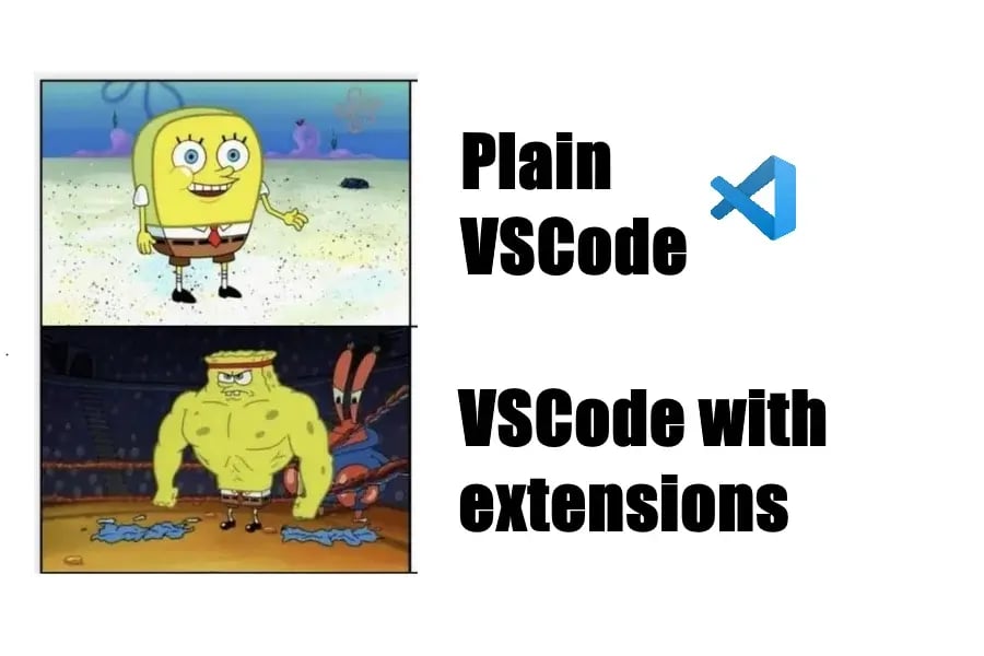 meme newsletter