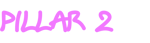 pillar2